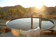 a dog standing in front of a hot tub with the sun shining down on it