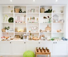 a room filled with lots of white shelves covered in plants and pots on top of them