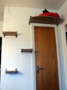 a cat sitting on top of a shelf above a door