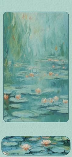 water lilies are floating in the pond