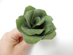 a person's hand holding a green flower on a white background with copy space