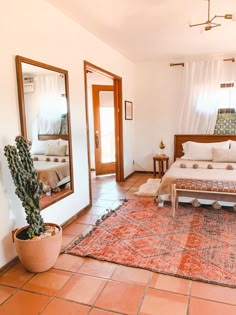 an instagram photo of a bedroom with a cactus in the middle and a rug on the floor