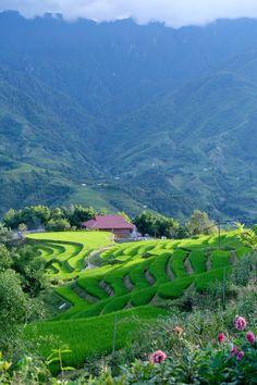 a lush green field with mountains in the background and a house on it's side