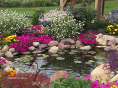 a pond surrounded by flowers and rocks