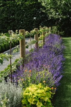 a garden with lots of purple flowers and green plants in the center, along side a row of wooden posts