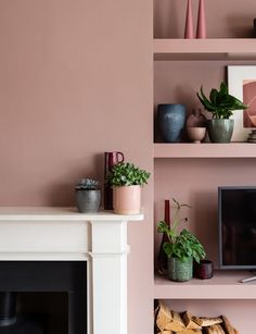 a living room with pink walls and shelves filled with potted plants next to a fire place