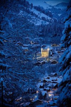 an aerial view of a hotel surrounded by snow covered trees and buildings in the distance