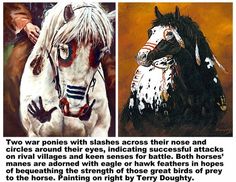 two paintings of native american horses with caption about their colors and features in the painting