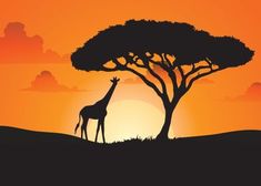 a giraffe standing under a tree at sunset