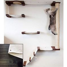 a cat laying on top of a scratching post next to a wall mounted shelf with shelves