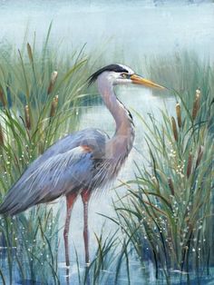 a painting of a blue heron standing in tall grass by the water's edge