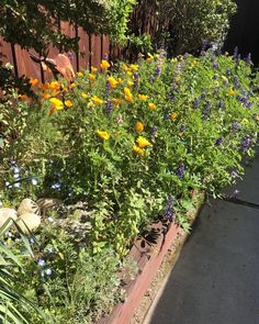 an assortment of flowers in a garden next to a fence