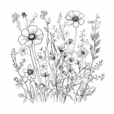 an ink drawing of wildflowers and daisies