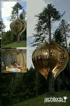 an unusual tree house in the middle of a forest is made from wood and has been designed to look like a boat