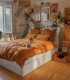 a cat sitting on the edge of a bed in a room with lots of plants