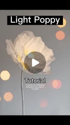 a white flower sitting on top of a table next to a light bulb filled with lights