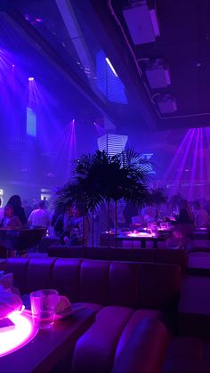 people sitting at tables in a restaurant with purple lighting on the walls and palm trees