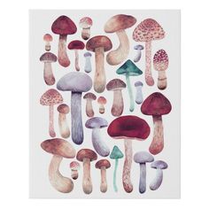 a painting of many different colored mushrooms on a white background with the words, i'm