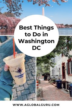 the best things to do in washington dc