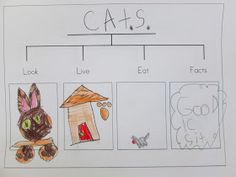 a child's hand drawn diagram of cats and their houses, with the words cats on it