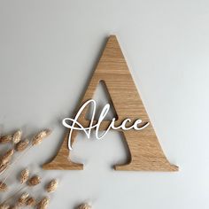 a wooden sign with the word alice written on it next to some dry grass and dried flowers