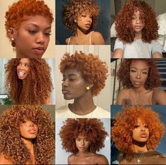 Afro Hair Dye, Red Curly Hair, Hair Mistakes, Colored Curly Hair, Pelo Afro