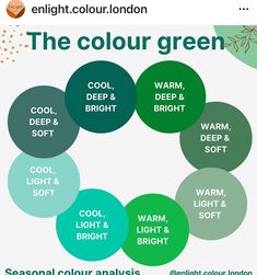 Complexion Colors, Light Spring Color Palette, Style Analysis, Cool Color Palette, True Winter, Winter Color Palette, Spring Color Palette