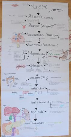 a paper with diagrams on it sitting on top of a table