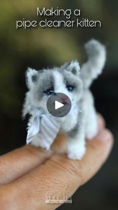 a tiny kitten is being held in someone's hand with the caption making a pipe cleaner kitten