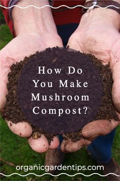 two hands holding dirt and soil with the words how do you make mushroom compost?