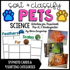 some sort of pet science cards and posters