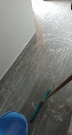 a blue mop sitting on top of a wooden floor next to a toilet bowl