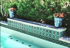 two potted plants sitting on the edge of a swimming pool