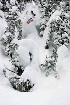 a person on skis in the snow surrounded by trees and bushes, skiing down a steep slope