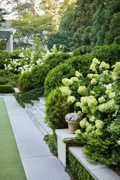 a garden with green plants and white flowers on the side walk, surrounded by shrubbery