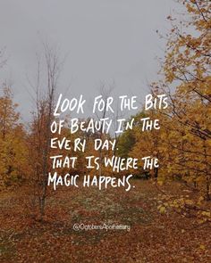 the words look for the bits of beauty in the every day that it's where the magic happens