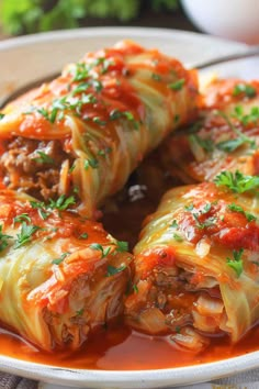 three stuffed cabbage rolls on a plate with sauce and parsley sprinkled on top