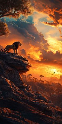 a lion standing on top of a cliff at sunset