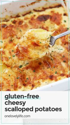 a spoon full of cheesy potato casserole with text overlay that reads gluten - free cheesy scallped potatoes