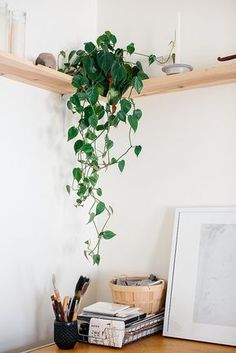 a potted plant is hanging from the wall above a desk with books and pencils