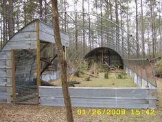 an abandoned building in the middle of a forest filled with lots of plants and trees