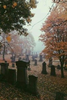 a cemetery in the fall with lots of leaves on the ground and trees all around