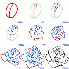 how to draw roses step by step