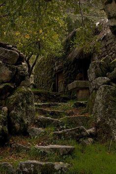 stone steps lead up to a small cabin in the woods with moss growing on them