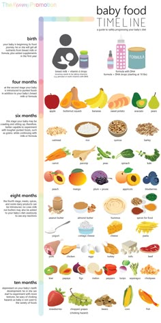 the baby food time line is shown in this diagram, with different foods on it