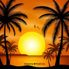 a sunset with palm trees and birds flying in the sky