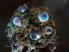 an arrangement of fake eyeballs and moss in a vase