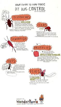 a poster with different types of bugs on it