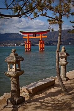 the water is blue and clear with some orange torido