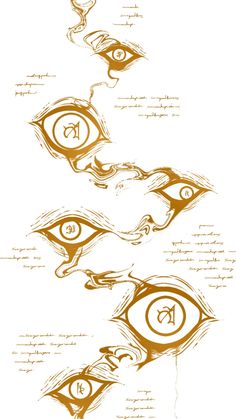 an image of three different types of eyes